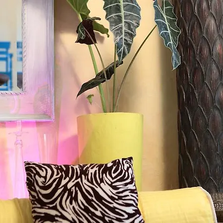 Casa Logos Boutique