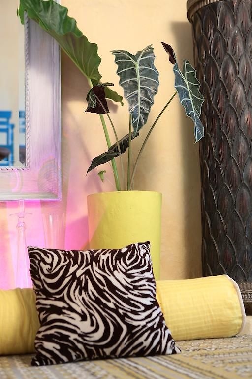Casa Logos Boutique